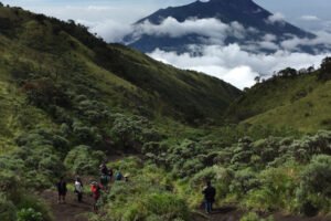 Journeying Through Nature: Hiking and Camping on Mount Merbabu