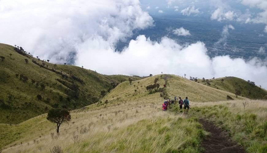 Hiking and Camping on Mount Merbabu: Reaching New Heights