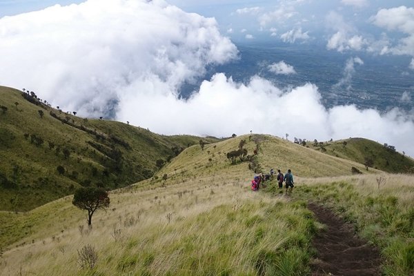 Hiking and Camping on Mount Merbabu: Reaching New Heights
