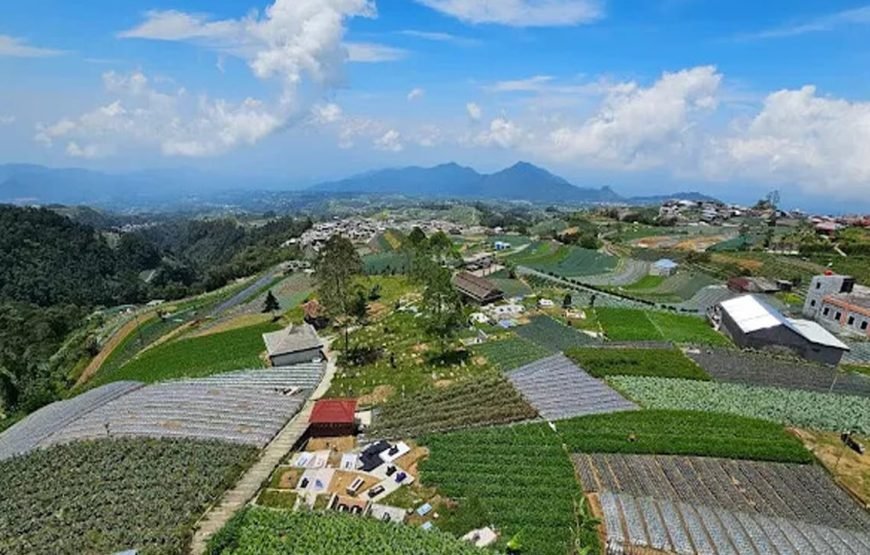Borobudur Tour and Nepal Van Java