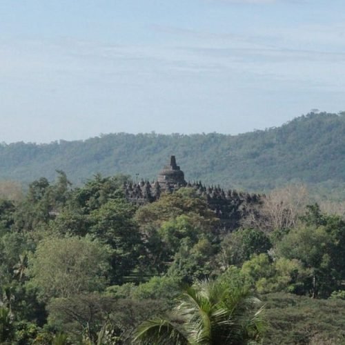 Borobudur tour from Yogyakarta Airport: Explore the ancient Buddhist temple and its surrounding areas with a knowledgeable guide.