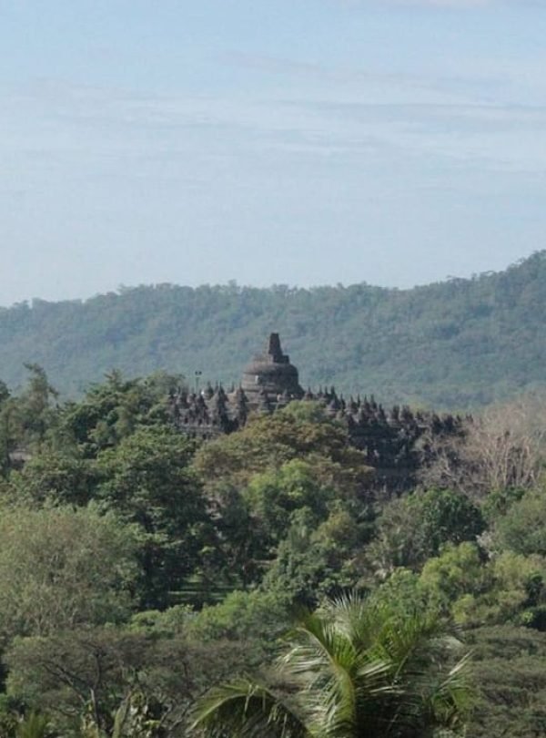 Borobudur tour from Yogyakarta Airport: Explore the ancient Buddhist temple and its surrounding areas with a knowledgeable guide.