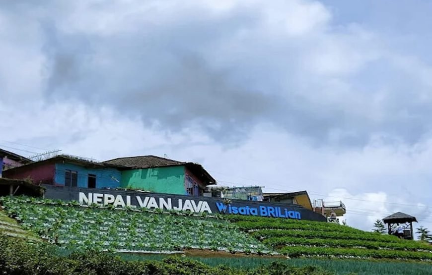 Borobudur Tour and Nepal Van Java