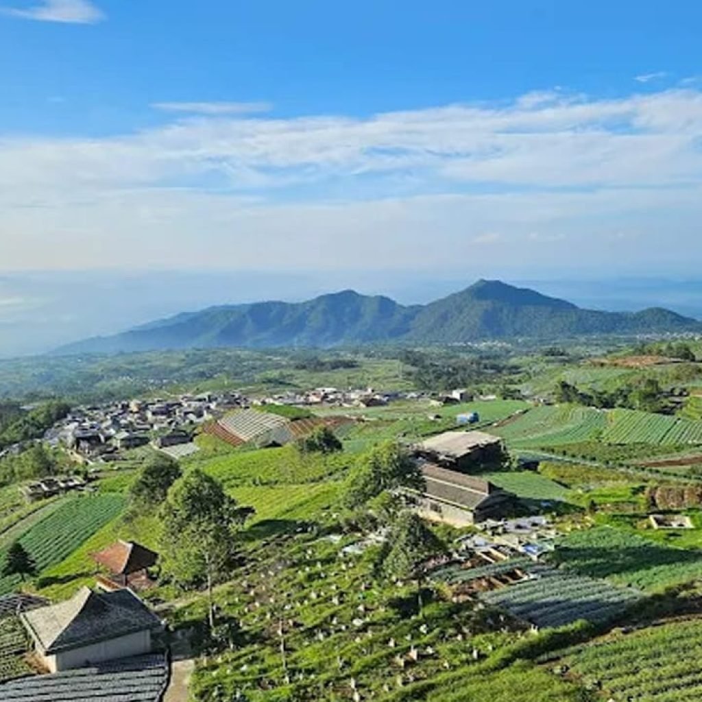 Borobudur Tour and Nepal Van Java: Experience Spiritual Serenity