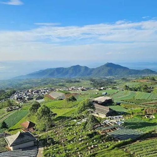 Borobudur Tour and Nepal Van Java: Experience Spiritual Serenity