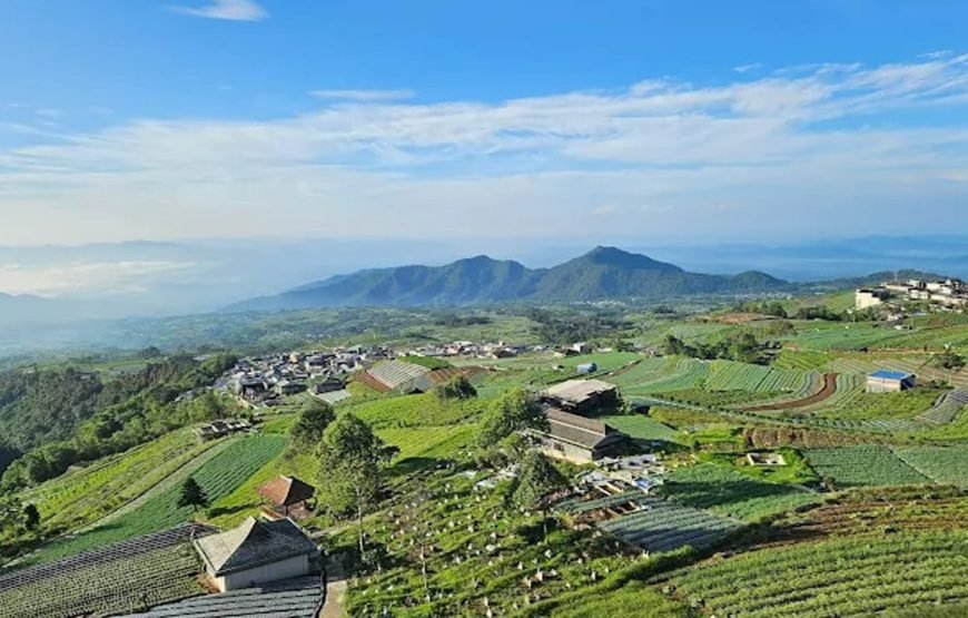 Borobudur Tour and Nepal Van Java