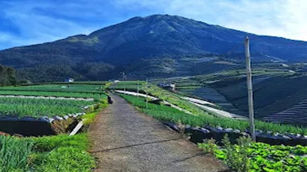 Borobudur Temple & Nepal Van Java Tour