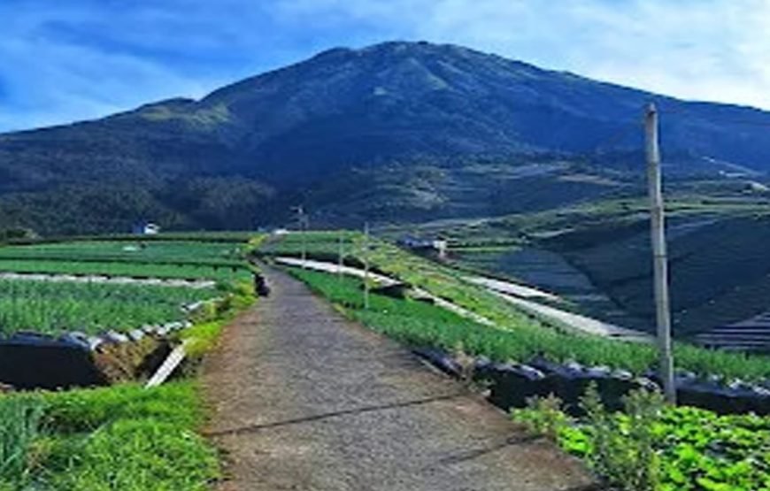 Borobudur Tour and Nepal Van Java