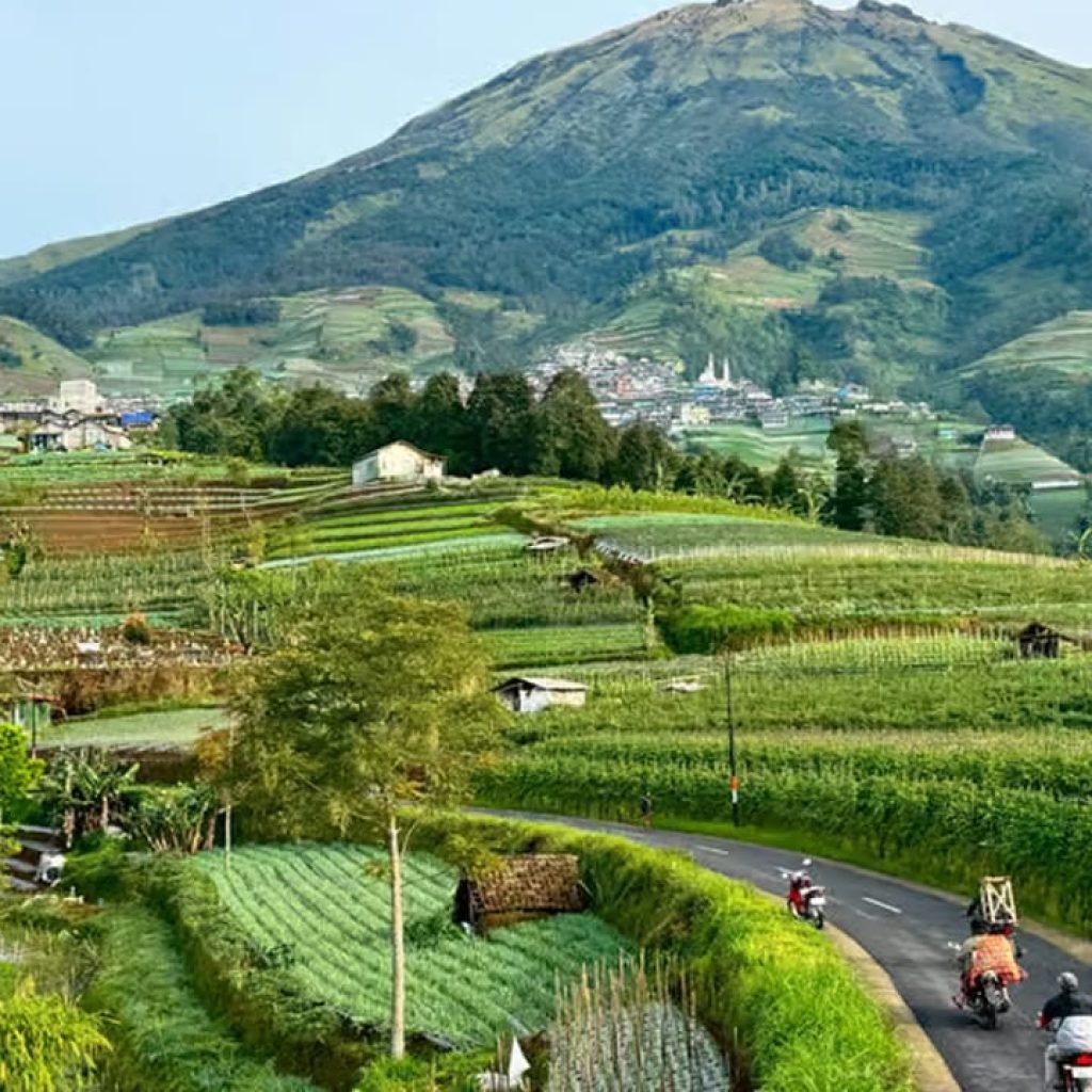 Borobudur Temple & Nepal Van Java Tour