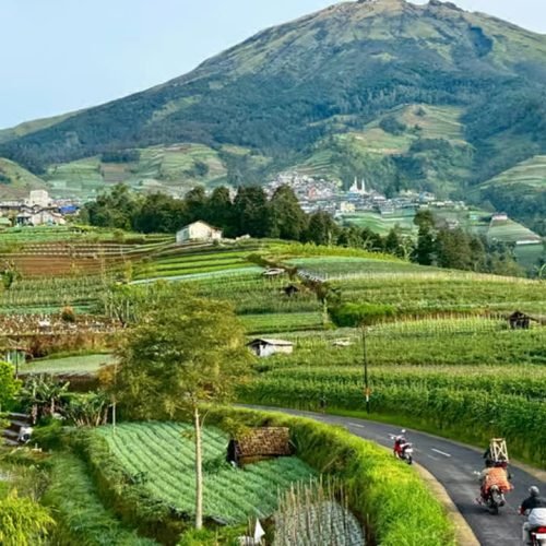 Borobudur Temple & Nepal Van Java Tour