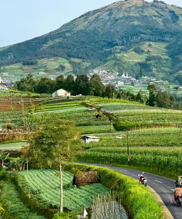 Borobudur Temple & Nepal Van Java Tour