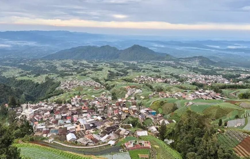 Borobudur Tour and Nepal Van Java