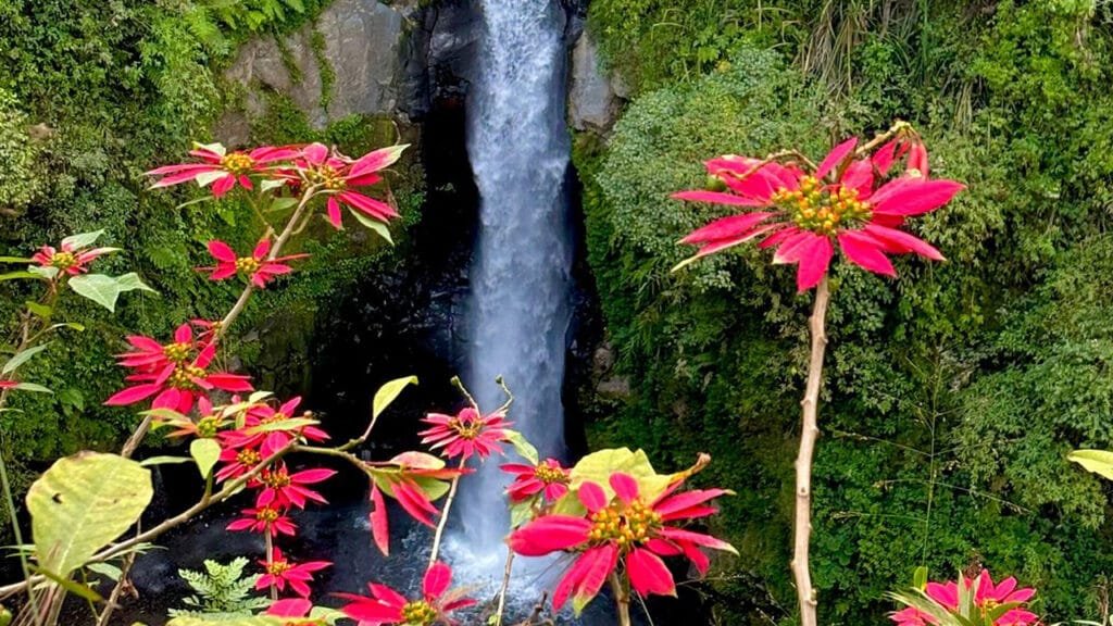 Borobudur and Kedung Kayang Waterfall Tour