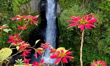 Borobudur and Kedung Kayang Waterfall Tour