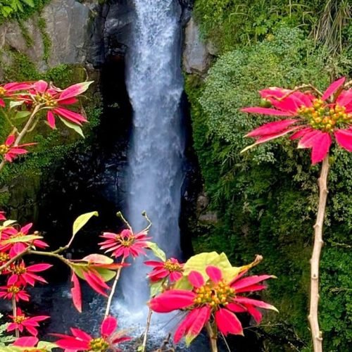 Borobudur and Kedung Kayang Waterfall Tour
