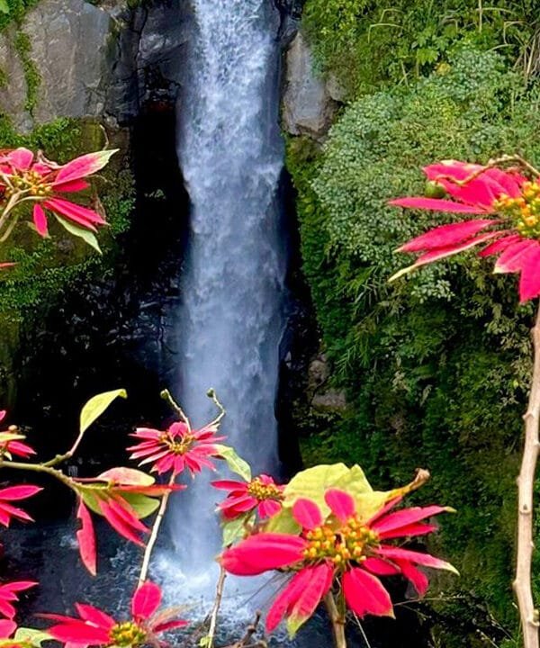 Borobudur and Kedung Kayang Waterfall Tour