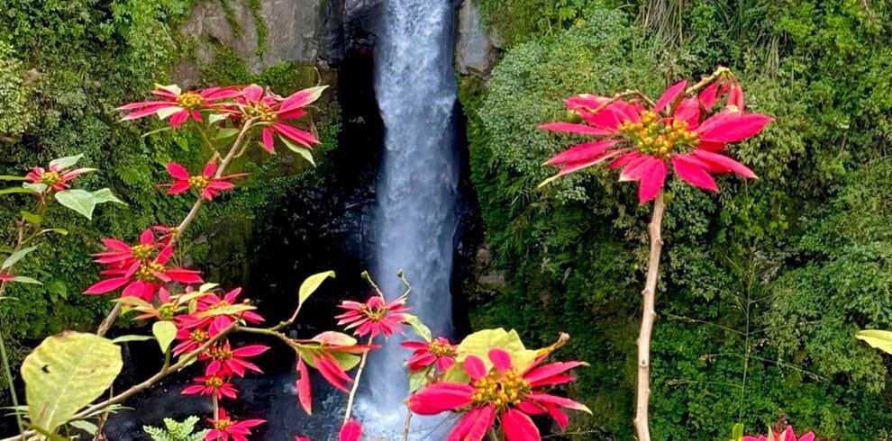 Borobudur and Kedung Kayang Waterfall Tour