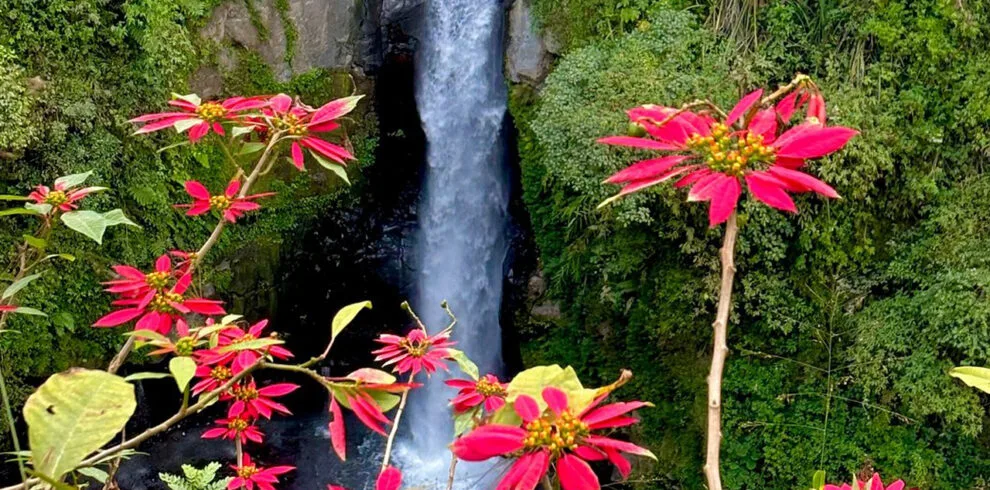 Borobudur and Kedung Kayang Waterfall Tour