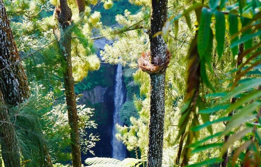 Borobudur and Kedung Kayang Waterfall Tour
