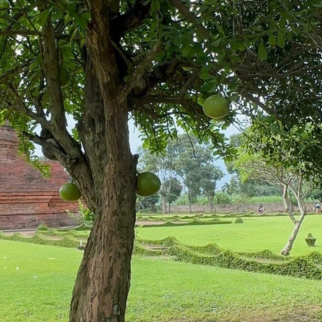 Trowulan A Must-See Destination for Cruise Ship Travellers from Surabaya Port