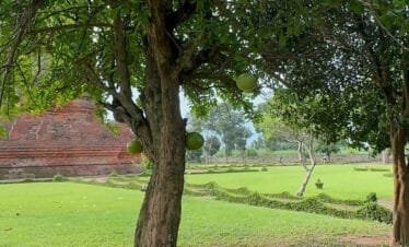 Trowulan A Must-See Destination for Cruise Ship Travellers from Surabaya Port