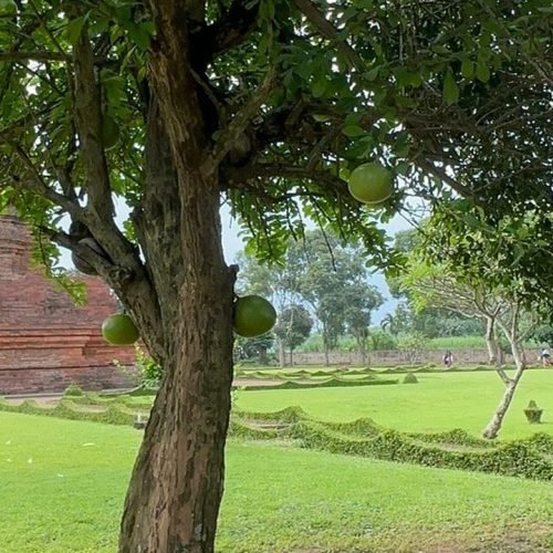 Trowulan A Must-See Destination for Cruise Ship Travellers from Surabaya Port