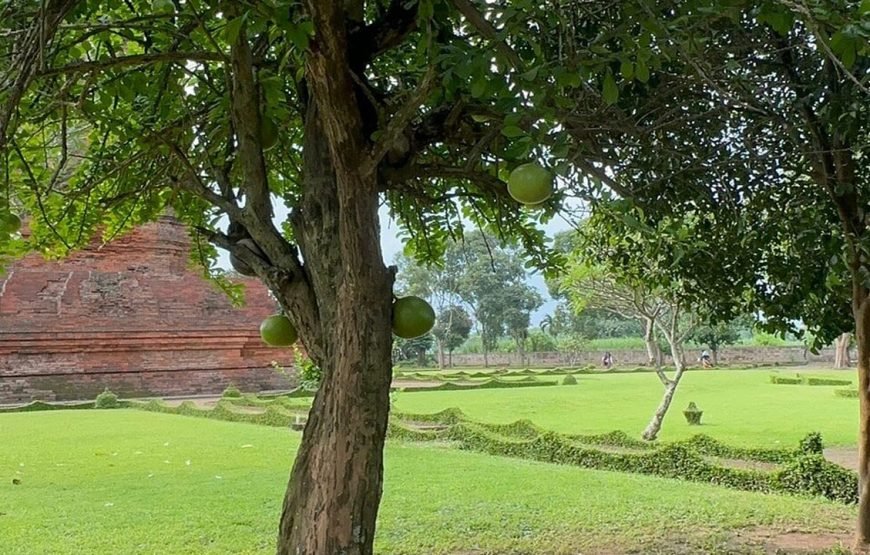 Trowulan Tour from Surabaya Port
