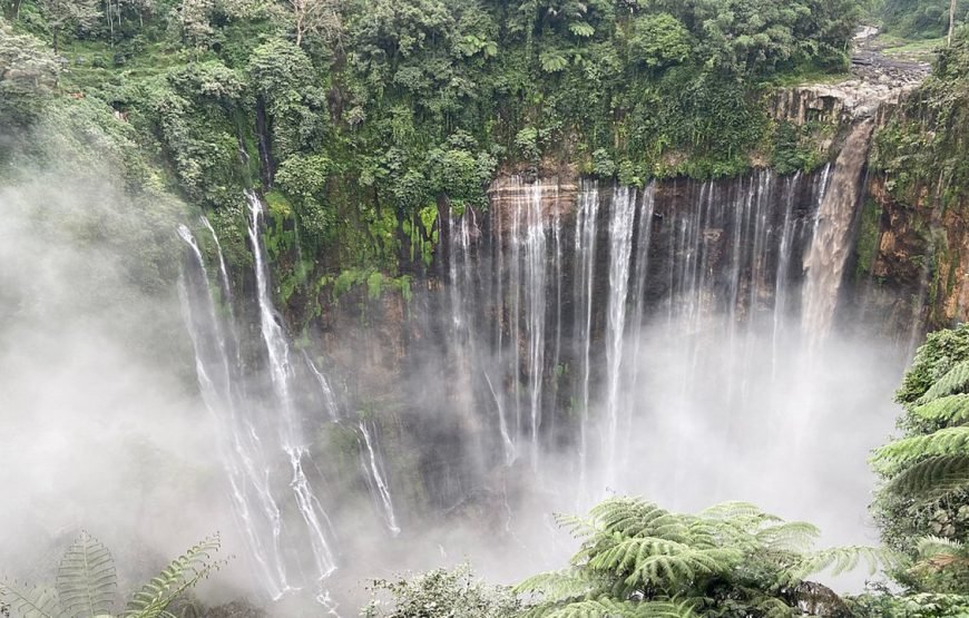 Borobudur, Tumpak Sewu Waterfall, Bromo, Ijen Tour 5 days
