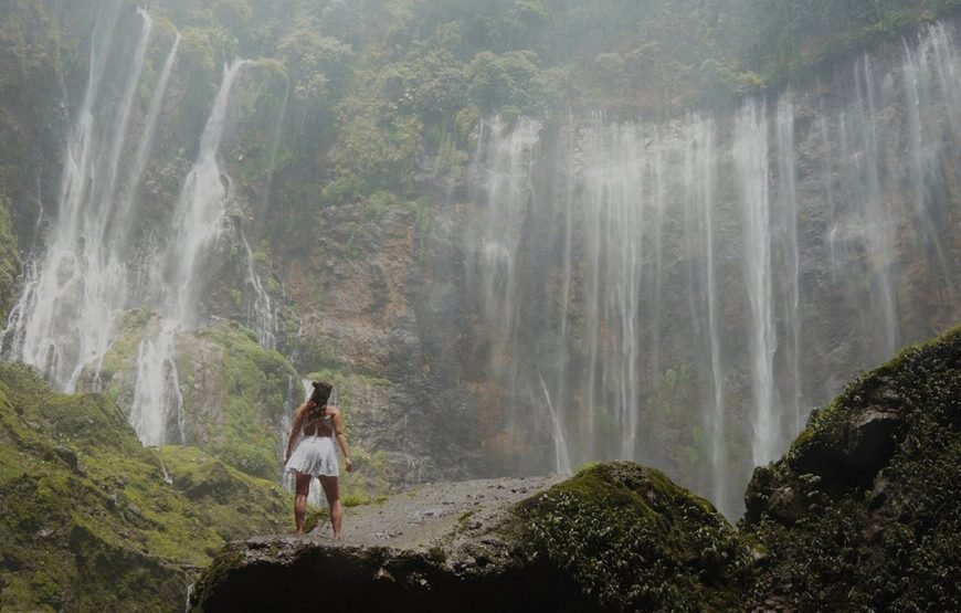 Borobudur, Tumpak Sewu Waterfall, Bromo, Ijen Tour 5 days