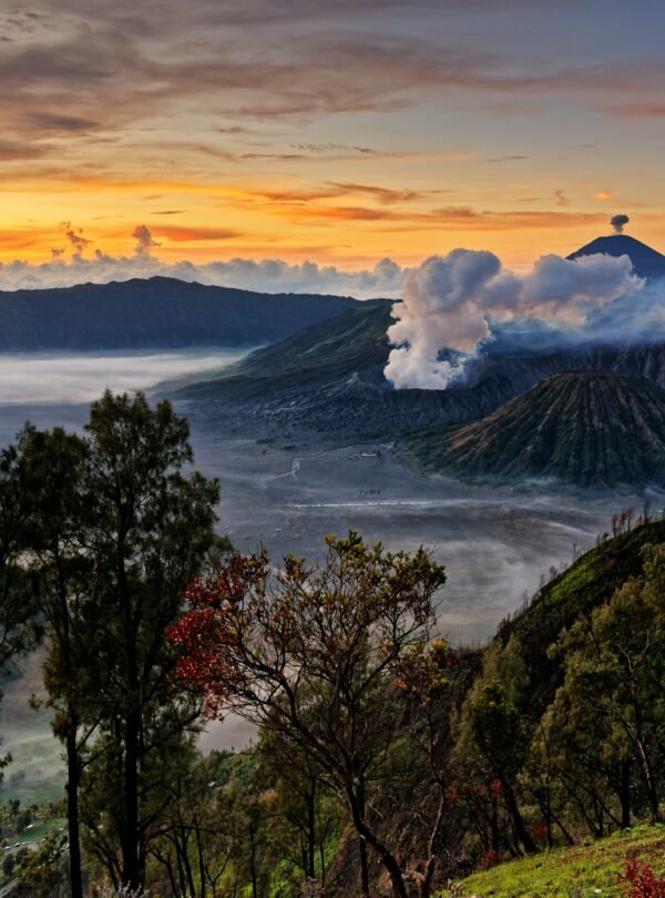Experience the Mystical Journey of Borobudur and Bromo in 3 Days