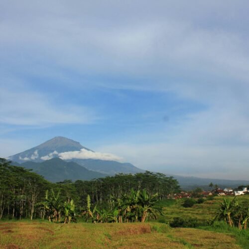 Reconnect with Nature: Hiking and Camping on Mount Sumbing