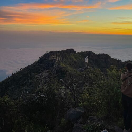 From Base to Summit: The Ultimate Mount Sumbing Challenge