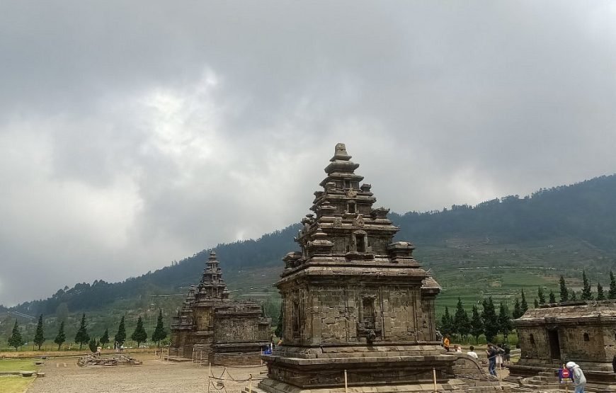 Sikunir Sunrise and Borobudur Tour
