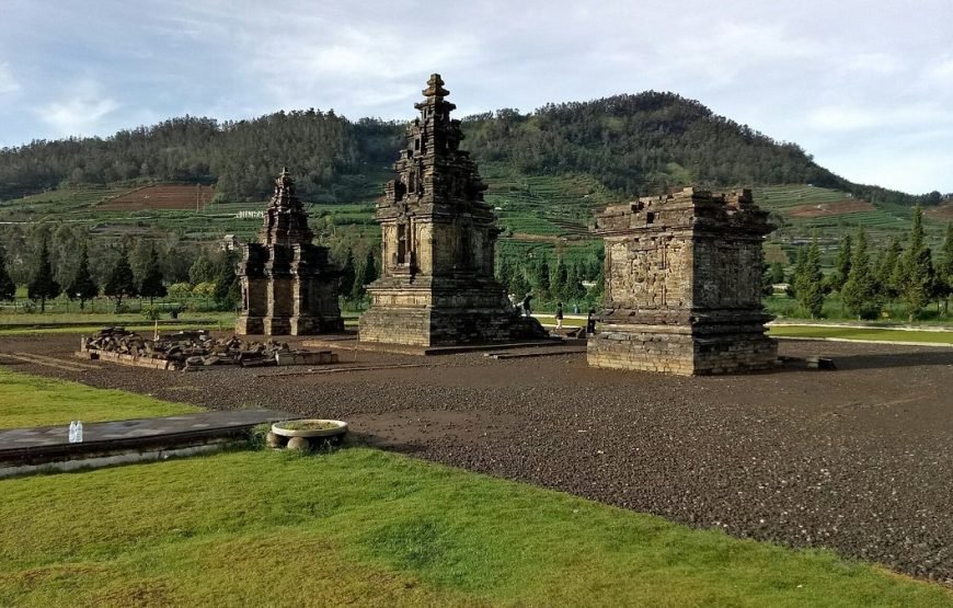 Sikunir Sunrise and Borobudur Tour