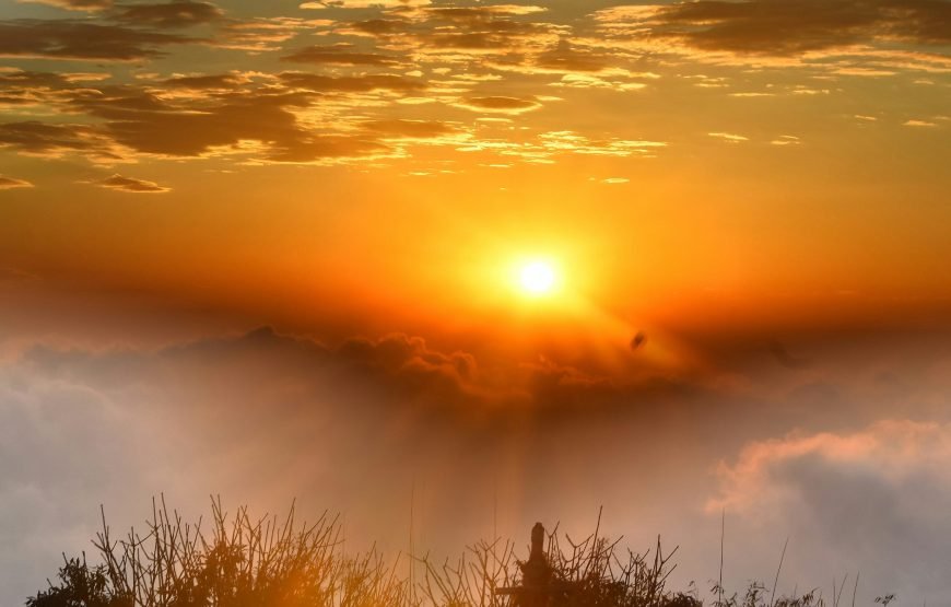 Sikunir Sunrise and Borobudur Tour